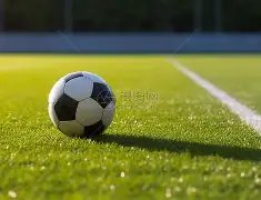 东京奥运排,球预演赛遭,取消,PG电子平台,PG电子官方网站,PG电子登录入口,PG电子app下载