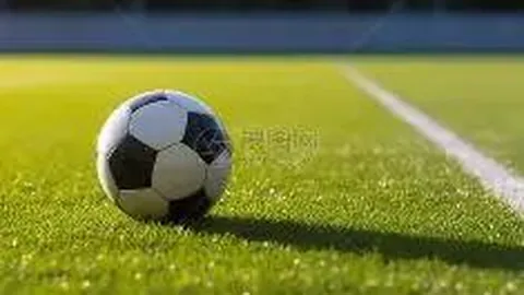 11月23日眉山将举办首届全程马拉松赛事